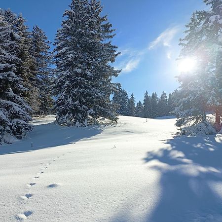 Ferien In Der Region Lenzerheide Apartment Bagian luar foto