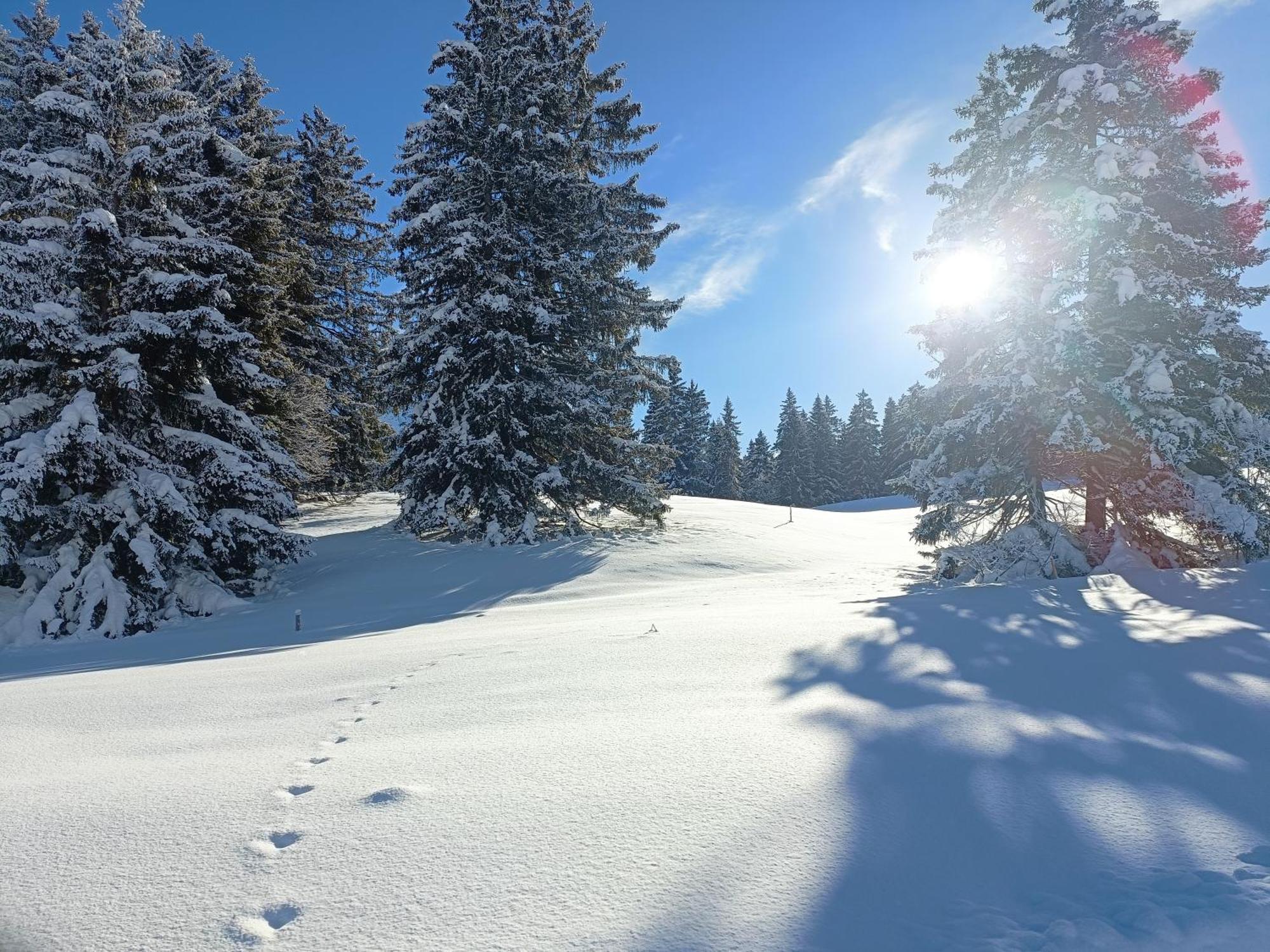 Ferien In Der Region Lenzerheide Apartment Bagian luar foto